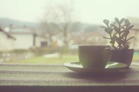Coffee and Cup Tea