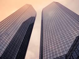 Tall glass buildings under the sunshine