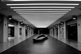 Black and white photo of the beautiful indoor architecture