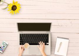 female hands on keyboard of Notebook at table