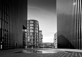 monochrome photo of Media Harbor in Dusseldorf