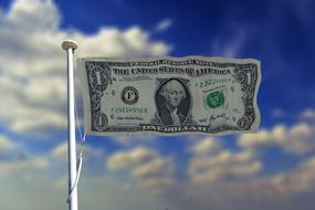 drawn dollar flag
