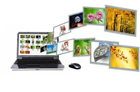 bright images at display of laptop