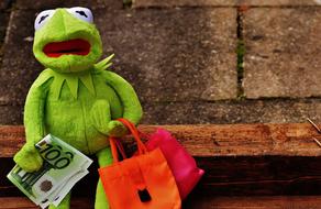 photo of Kermit with multi-colored bags and euro in hand