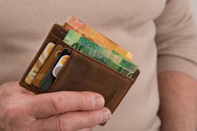 Wallet with the credit cards and money