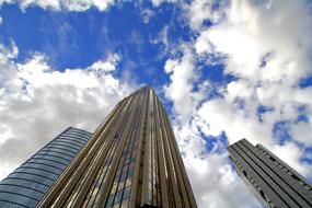 photos of skyscrapers in the financial district