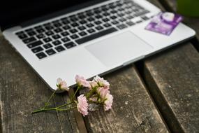 bank card on laptop and flowering branch on the table