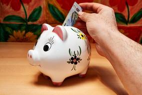 Savings Piggy Bank white