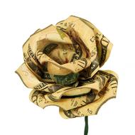 Money Flower Rose paper