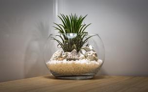 decorative glass bottle