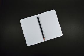 Notebook Open white and pen