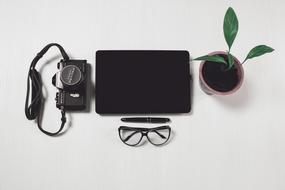 Laptop and Glasses and pot flower