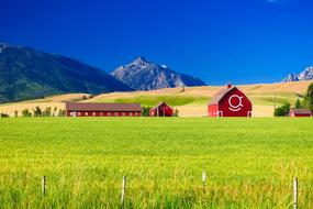 Barn Farm Agriculture green