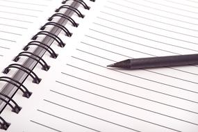 white Diary Notebook pen