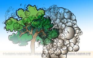 time nature tree drawing