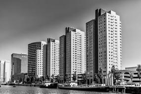 Rotterdam City Skyscraper black and white