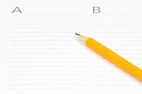 The Action Plan and pen