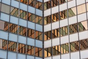 Glass windows on a wall of office building