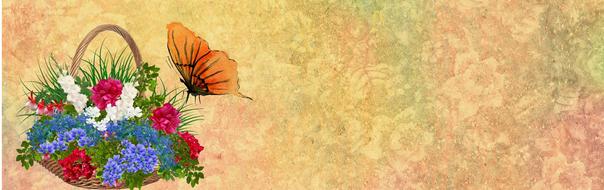 flower butterfly banner art drawing