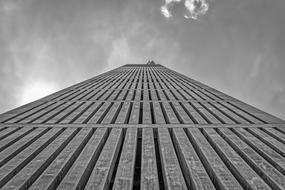 Building Facade Architecture grey