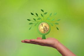 growing money