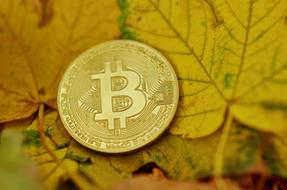 Bitcoin Cryptocurrency Coins gold yellow