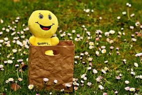 paper bag toy and flowers