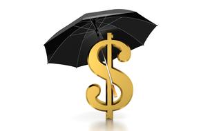 clipart of dollar under umbrella