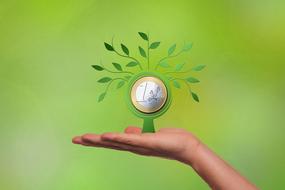 financing, one euro coin tree on hand, drawing