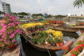 Flower Market Vietnam
