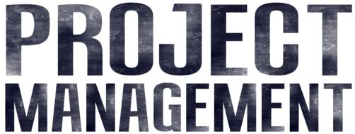 project management for business