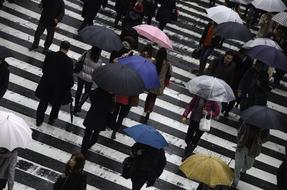 People Rainy umbrella, japan, osaka