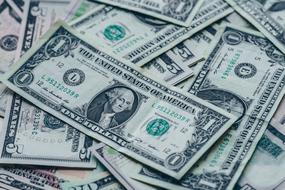Bills Cash dollars