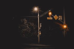 street lamp on the night highway