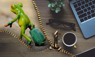 ceramic frog with luggage and home office