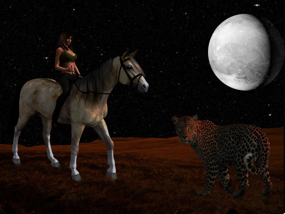 Star Planet Evening