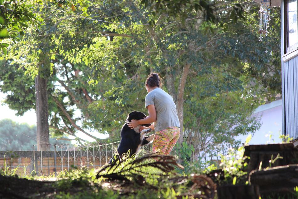 Dog Playing Woman