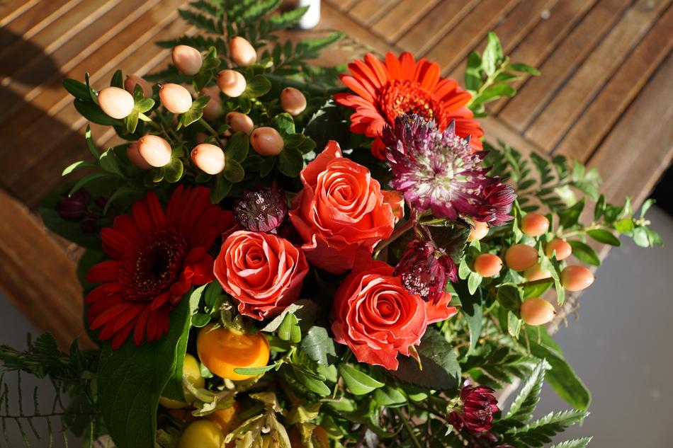 Flowers Roses Gerbien
