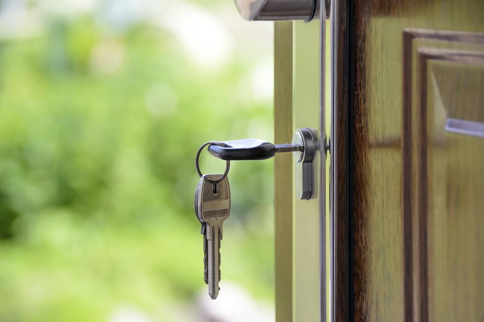 Close-of the keys in the shiny door of the house, near the green plants