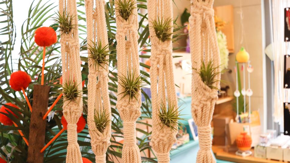 ropes with green plants in korea