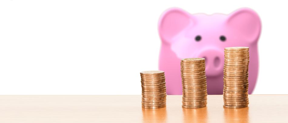 Save Piggy Bank and Money