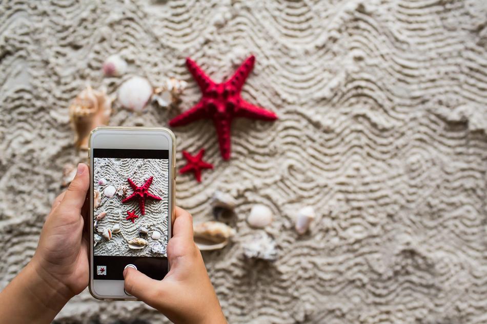 photo graph seashells and starfish on a smartphone