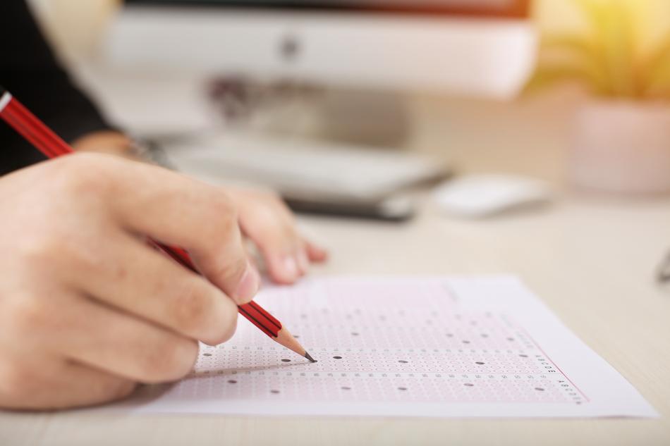 fill out a schedule with a pencil