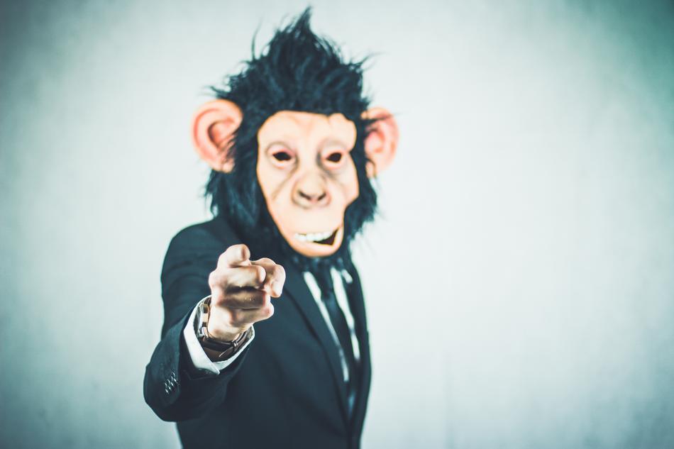 monkey in a business suit as a concept design
