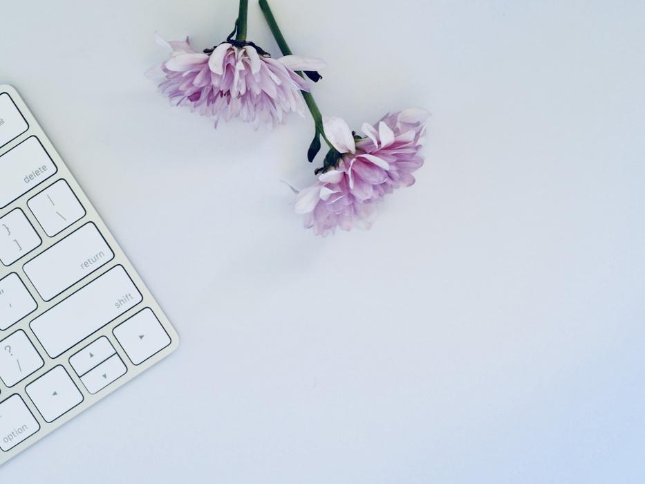Two beautiful flowers near the laptop