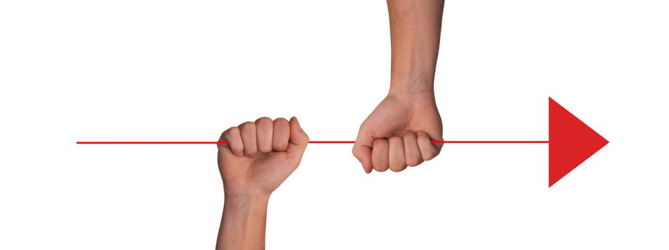 Hands of the team