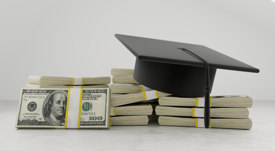 Mentor School Students and dollars