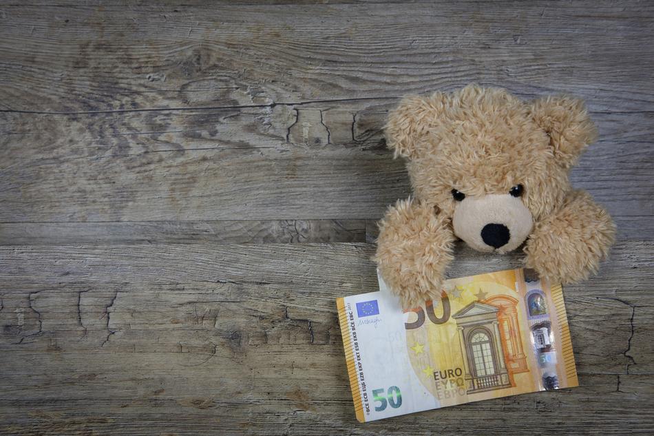 Money Euro 50 and teddy bear