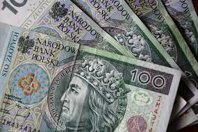 Euro Banknotes Polish