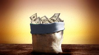 Dollar bank notes in Bag